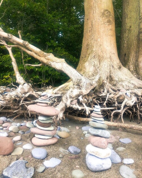 f2bd7cbce2f6bb3dcf32ca3c19aacf3e