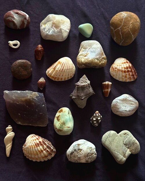 3b9aa3532a0e1402fc58361d6406153c