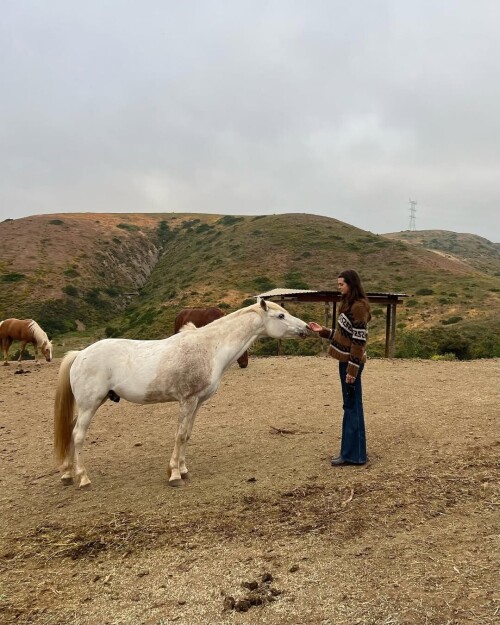 469ca7ce7857faad1ca828ac79d9e260