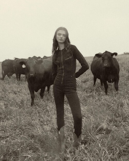 71c859faf6e5e322393c5a8173e7c24b