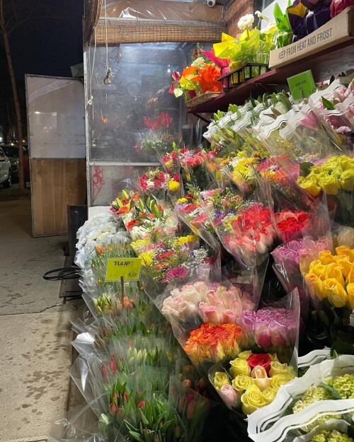 72814e42db06a1bb2fbbae655657d5d3