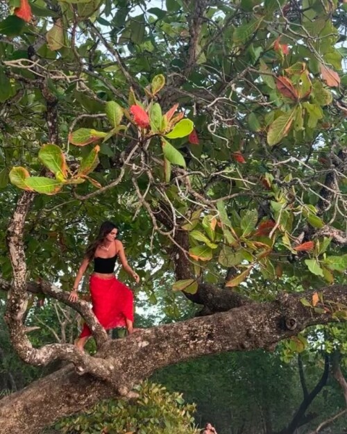 ae43b0e9640cfdd054aa835f3d3c0728