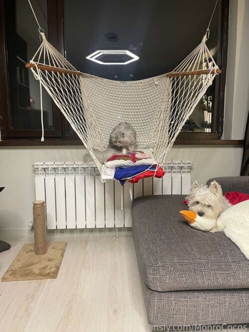 1b1e233f331ad549ce1db5fef6109b5b