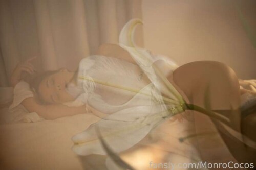 3d49c94dbc3ae6e83de0555c93322a5f