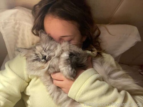 4fd6c94731f419d7cdc79228d720a6cc