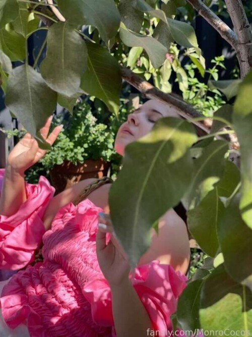 aabb58e9153f494a5cdd0e55d4317436