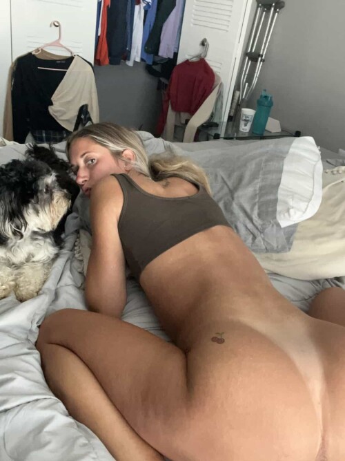 3218a61db4105e85c4e1b397a5626203