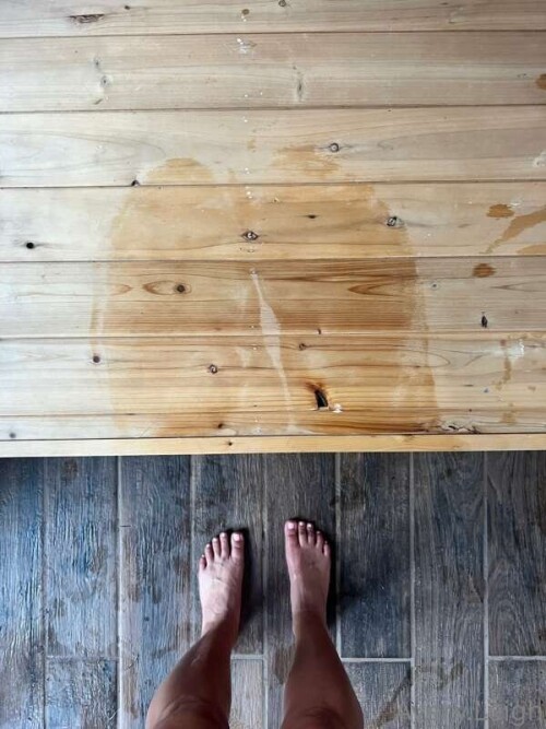 bdabaa988afe8a7088d9165ad62ef5f3