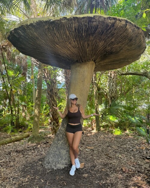 ed2d356d0cc097a8e38fd39c831a4209