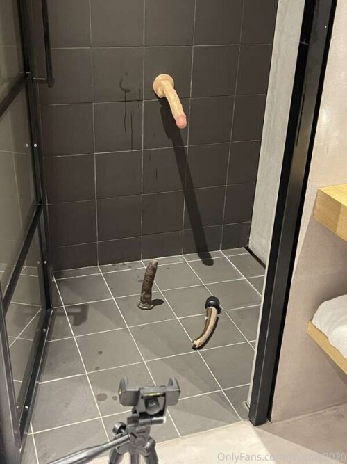 9236c9e9e93631431cce457d792c831e