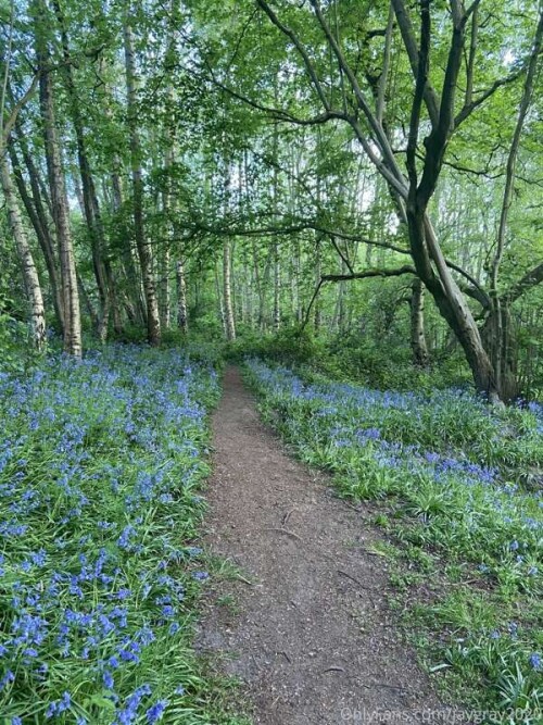 a4d8c8754864f3cf814bdcf976889a86