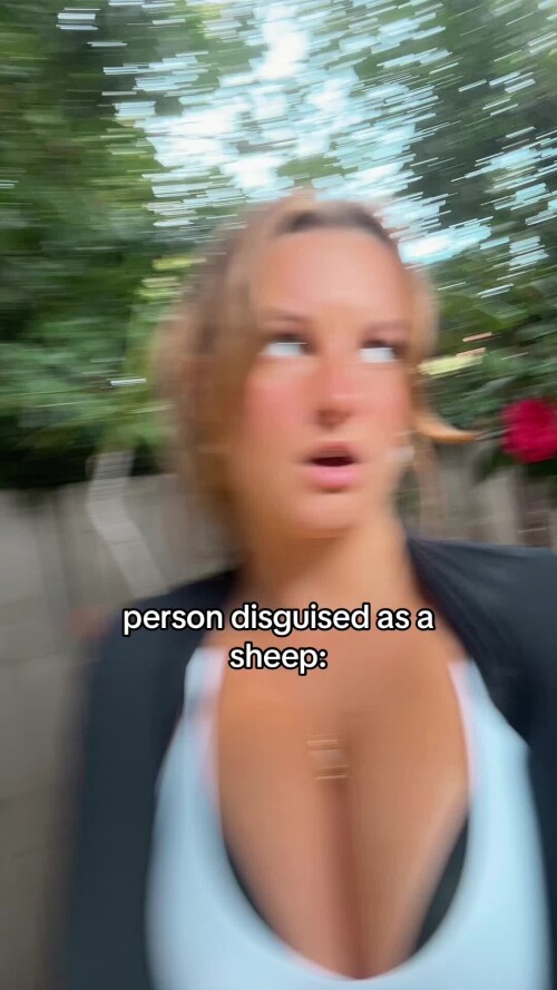 b97d03ddfb19a453c17a61d0dc3e381f