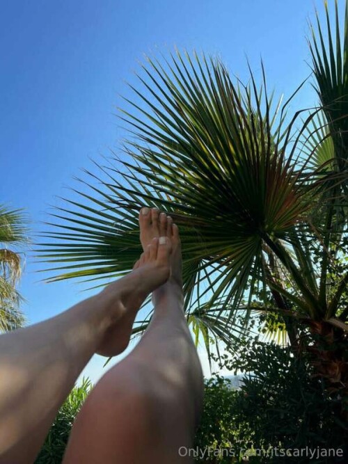 f9a45b352dc166f1ea72cceb503ef19d