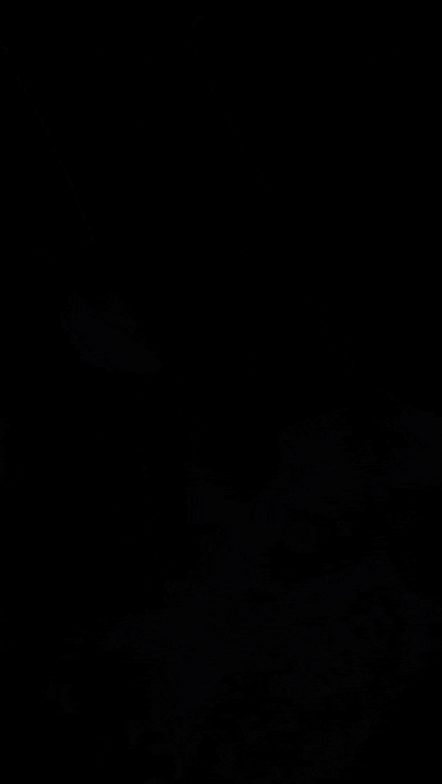 d4b3de5e02ee7e41dc0feff7c2ea11bb.gif