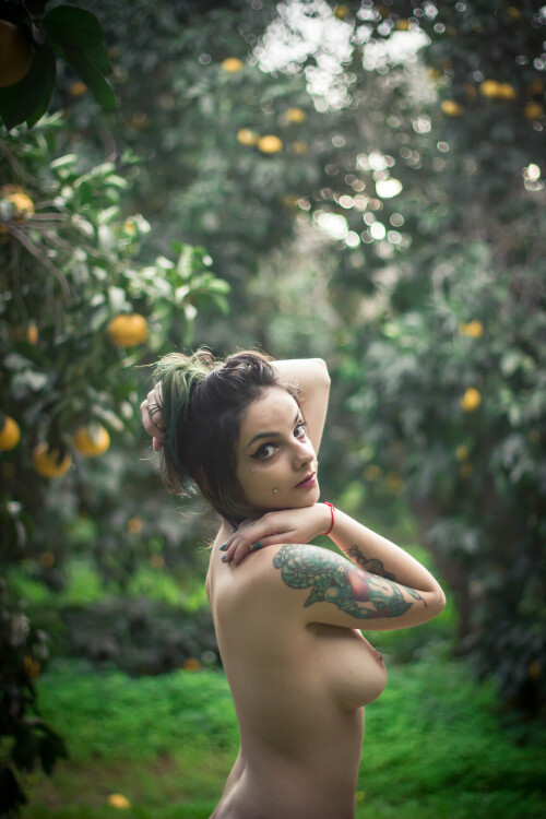 bb278c44b78b5392726279fe5667c4fa.jpg