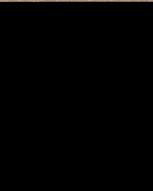316051f9ed45c208184778a77d2ca72076829336174c3a52.jpg