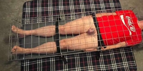 86d0c9bbd20e869ebf8fff0cf7748bf0.jpg
