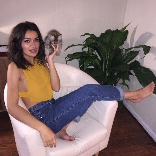 fed41ba7fb446de8c1db449aefb8413a.jpg