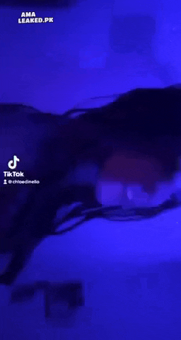 350c9295f186c67f90880a57e22bf20a.gif