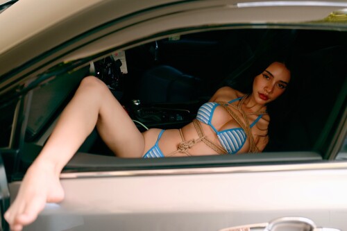 f69469f1bbd497f58e107d4fef9294ad