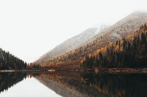 211fec799ea8fcbafeed0bf2e2ea33fc