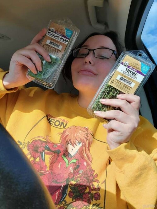 3753bd7c2b492a48ffcd4a61296ffd0f