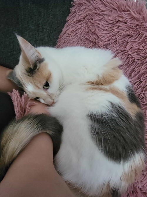 3cf3b1ff6181d763e56e4cb2b135c7c4