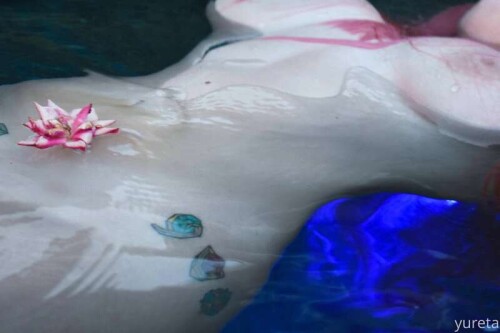 4812447b2e4c81d73f7221283677ead3