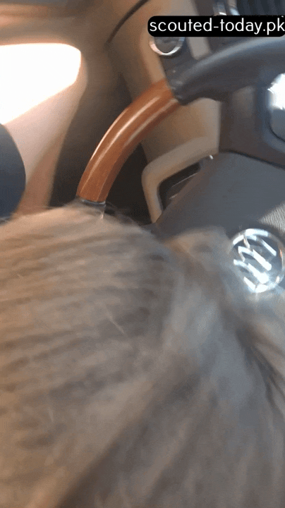 13c6c72521e89ac90ffd9efeeaf17618.gif