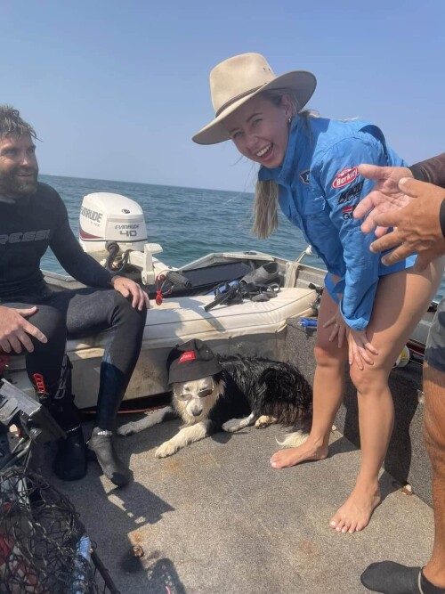 8ad28d9fa5d59c7a3494bd20ee61bda3