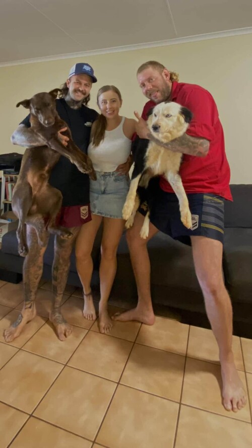 b3b0bd05aeb60c357fc662a3971177ed