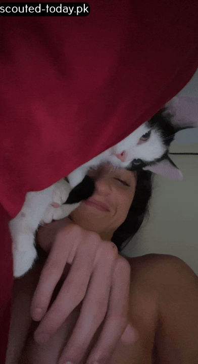 b74afbdd809b1851515d6318f84b7eb1.gif