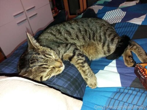 5b78b43462a84ad29a2ca26f880ab8de