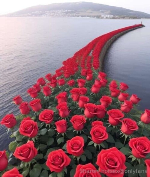 dddc20679b0adae12f9e82b02f725b87