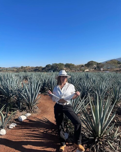 3653cdc9f8c7178213b00d888f109544