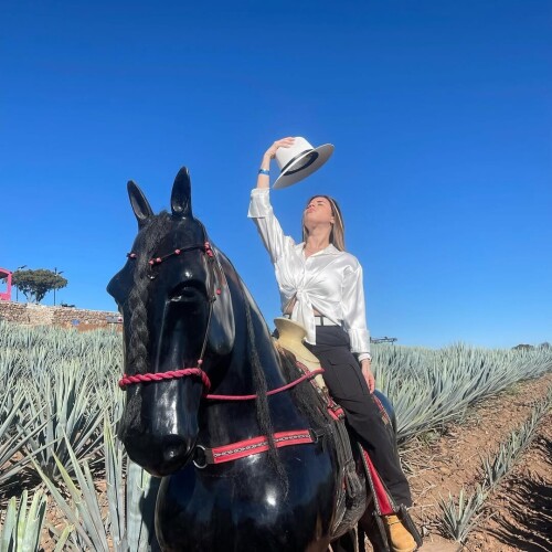 fc2e53cb802f970b3276c6117ae28b23