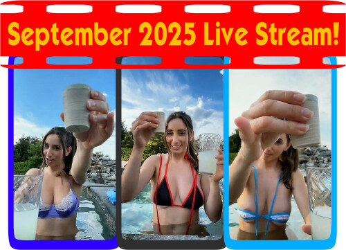 4aae1729de31adbb7ef717f7d336503a