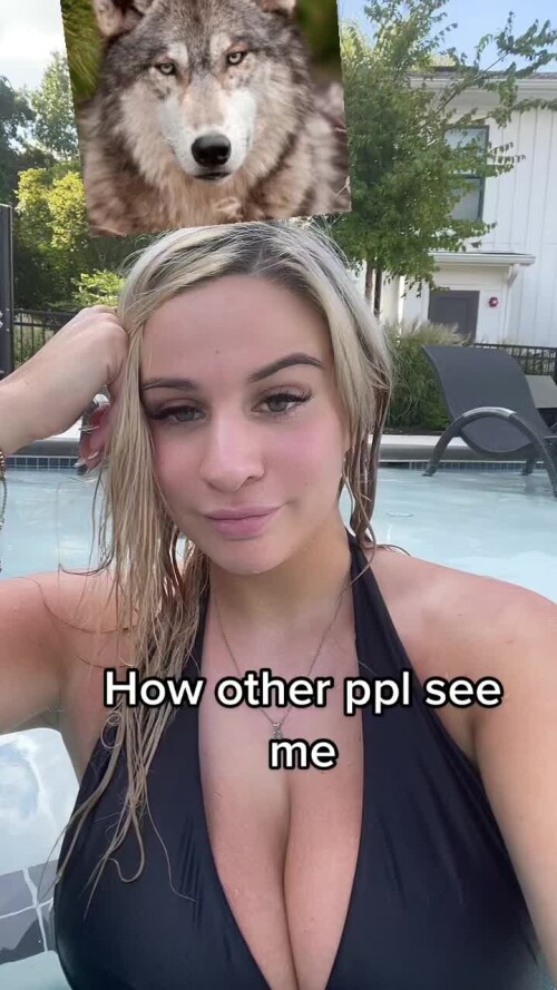 6b0d61f5168235560ed133a91ddd2483