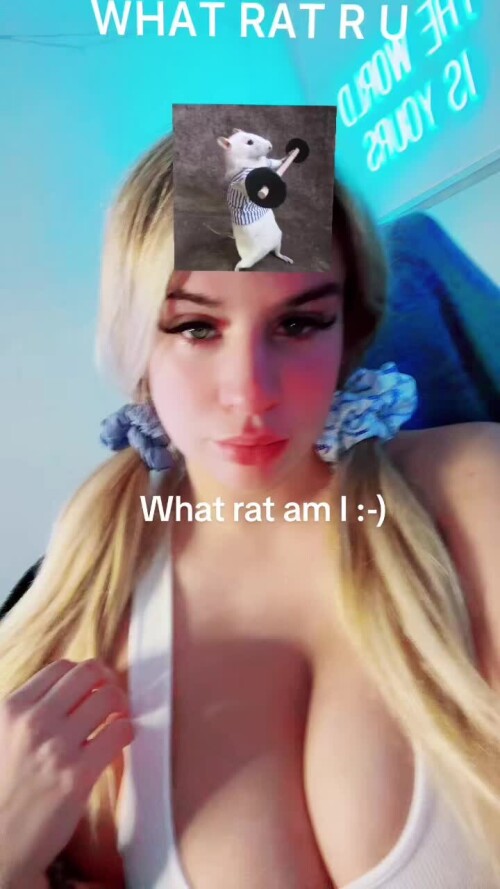 7ad3c325fa9e740f596ae8f1ef1ab1c3