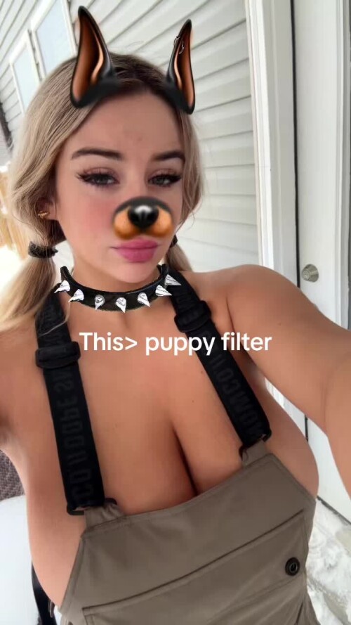 fb6d2e58954459d4b9b78c3fa97c5293