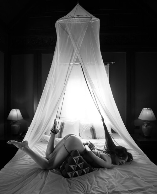 40498b0cf94f0cf87cb6b2a9a4a82a2d