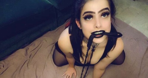 bde99b0ce71ba5ede47978c5dadc7705