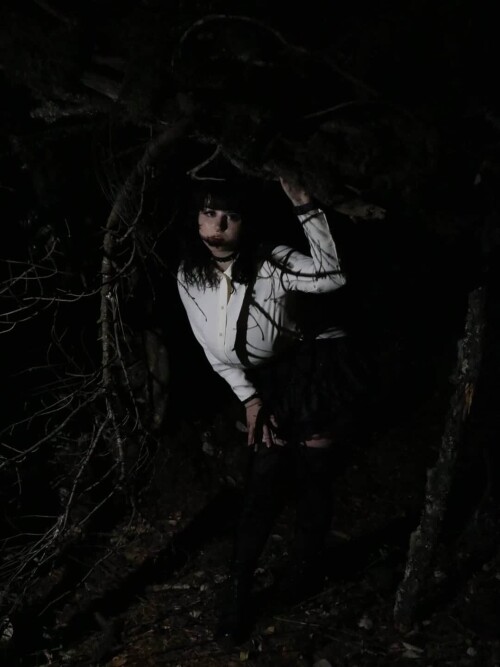 a5c611c638a037ee35759d89232bf44c