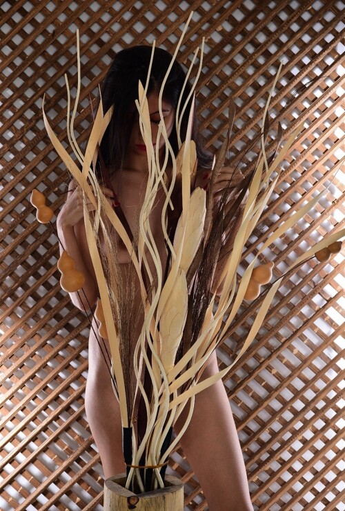 1eedc1368c315009002f4f2437fc84bf