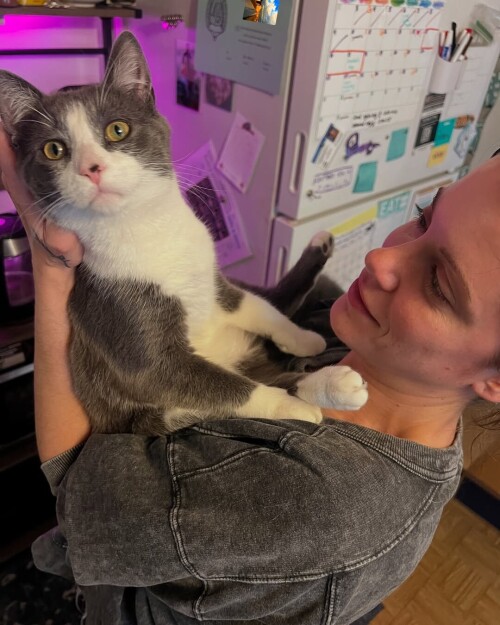 cc33b16580cdd4041c0ff600fffff5b2