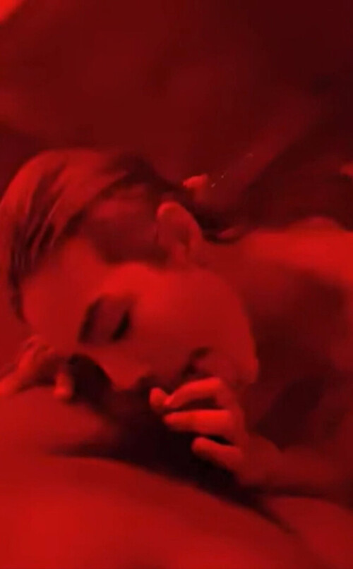 1865530fc99ae05b531d3473ff6e2bfd