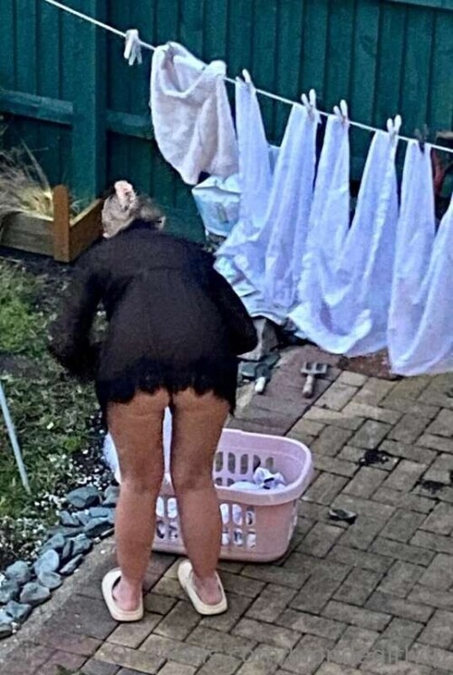 f6a36457db3499851b9a93c24d836c7e