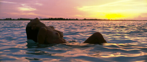 188454fe372a2caf3e05092f25283c16