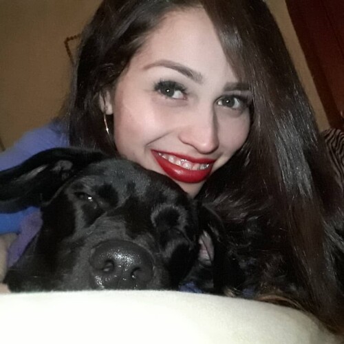 25a0e792e5d4080a540789a8c17ad4c6