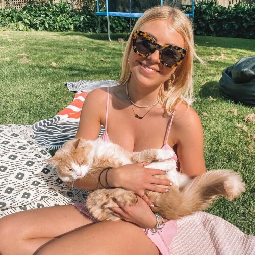 2a3be319747edbbc6c6655c5f9606683